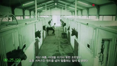 s[K-pop] Norazo(   ) Wild Horse0155.jpg